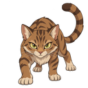 Wildcat, illustrated for StormTome