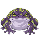 Venom Toad, illustrated for StormTome